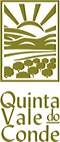 logo_Quinta_Vale_do_Conde
