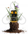Portugalski miód lawendowy BIO Mel Santa Maria 500g