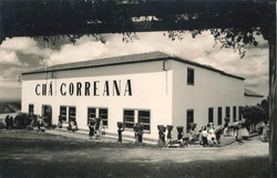 Czarna herbata z Azorów MOINHA 250g Gorreana